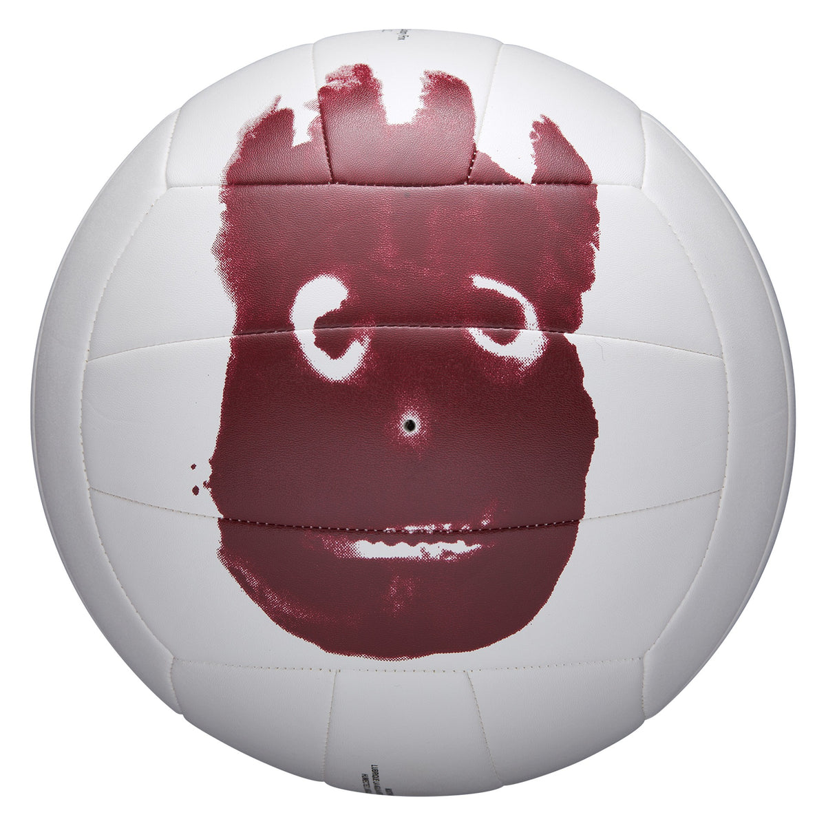 Ballon de volley-ball Wilson Castaway