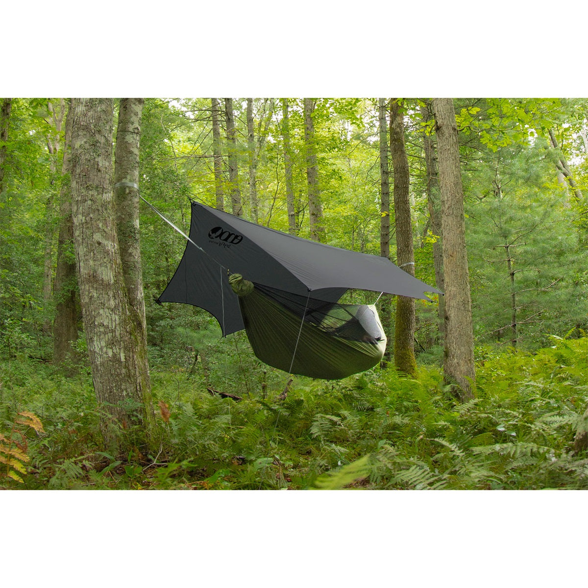 Eno Junglelink Hammock System Charcoal / Evergreen