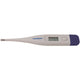 Travelsafe Travel Thermometer