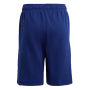Adidas Sports Shorts Boys