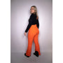 Ice Peak Softshellbroek Dames