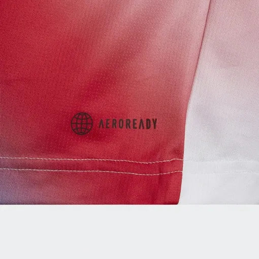 Gyerek póló Adidas Jr Q1 Printed Tennis Mix