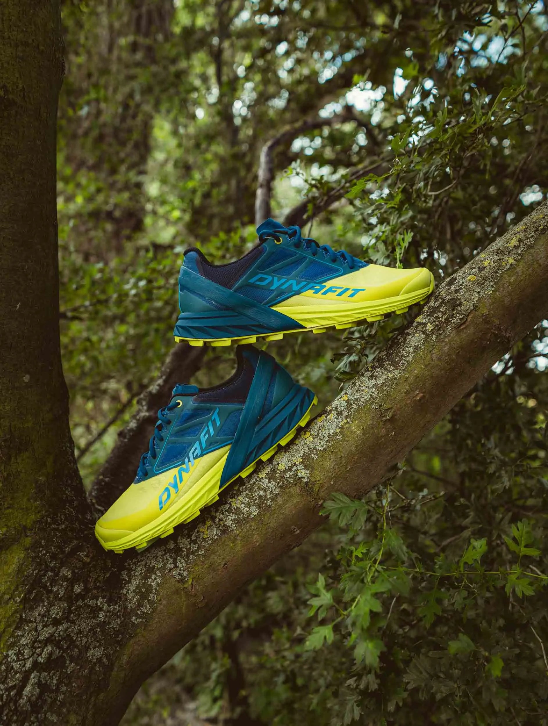 Dynafit Men Alpine Fjord-Lime Punch Blue