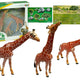 Giraffes Figurines Educational Family 3 Pieces + Africa Background