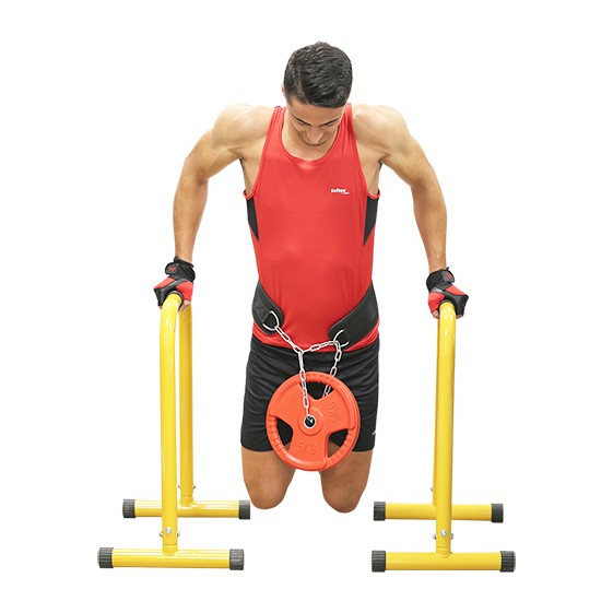 Ekstra Softee Load Belt Multicolor