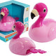 Flamingo de banho flutua na água