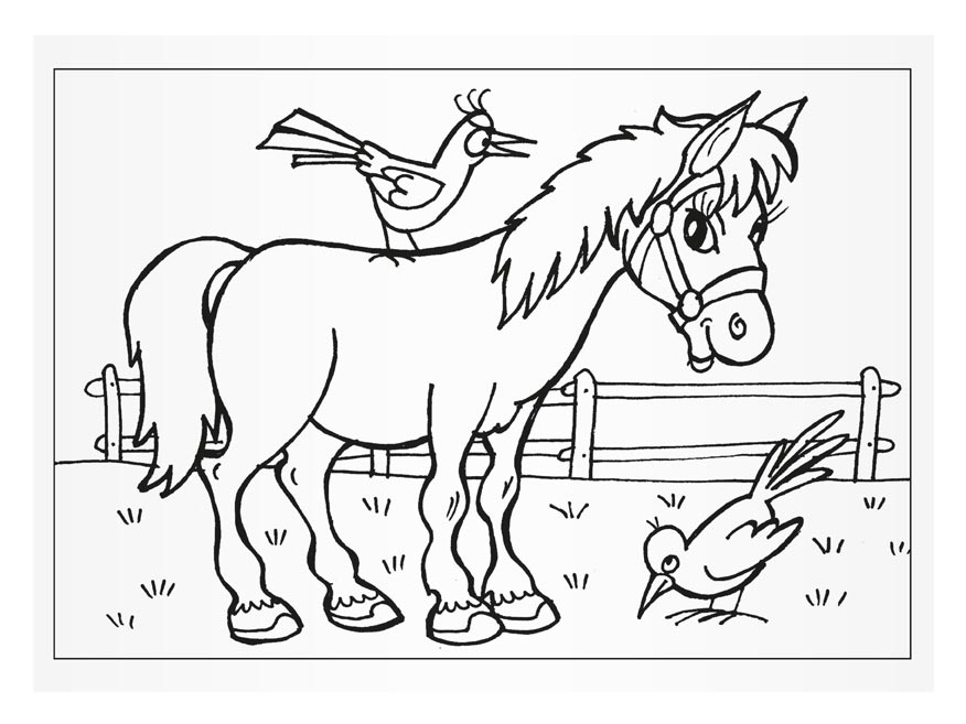 Mfp Animals 2 színező oldalak