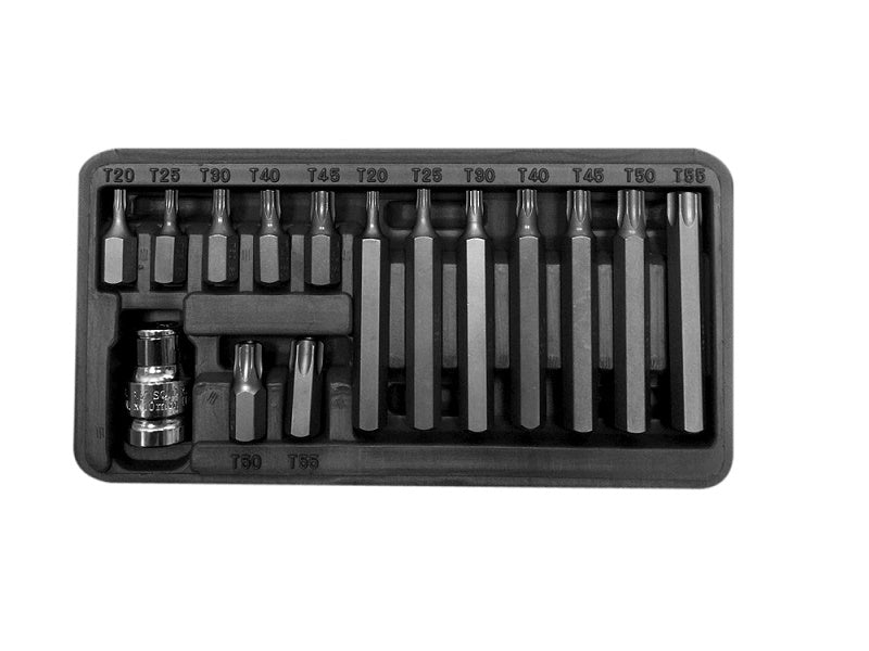 Set Punte 15 Pezzi 10 Mm Torx Sicurezza T20-t55 L=3075 Mm Proline