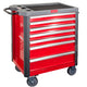 Tool Cabinet 7 Drawers 706 X 450 X 800 Mm 15 Mm Proline
