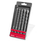 5 Piece Sds Plus Masonry Drill Set (5 6 8 10 12 Mm) Proline