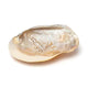 Mother Of Pearl Shell With Pearls --set Of 2 Pcs - 15-16 Cm
