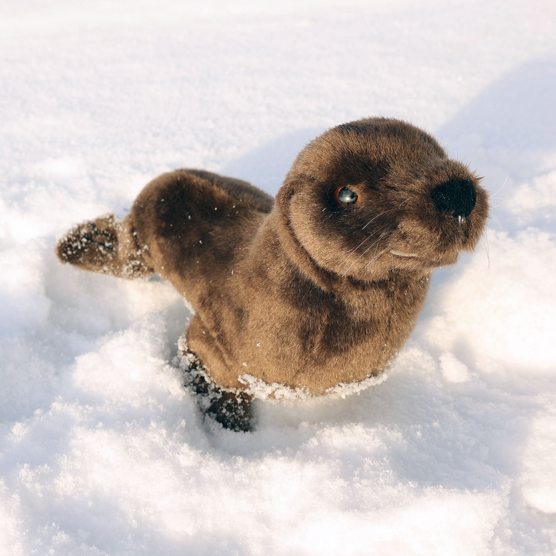 Plüss Seal 24 cm Környezetbarát
