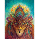 Note Pad Lion --пакет от 5 бр. - 12.5x9.5cm
