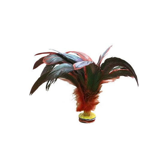 Set Of 6 Football Indiakas With Dark Plumes Multicolor