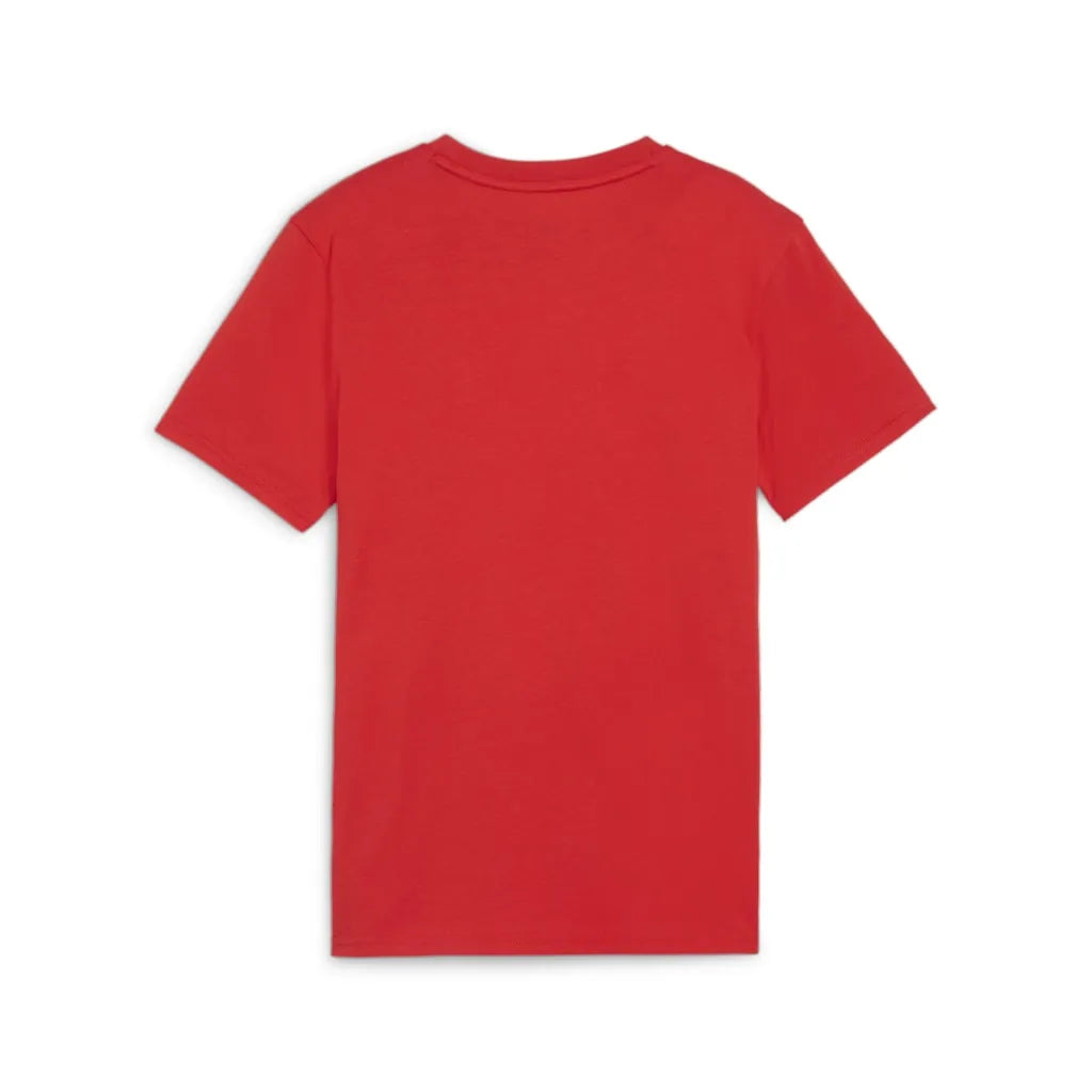 Camiseta infantil puma teamgoal casuals tee jr red 152