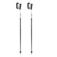 Leki Ski Poles
