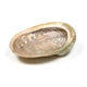 Abalone Smudging Shell Haliotis Diversicolor M -- Set Of 2 Pcs - ±12-16cm
