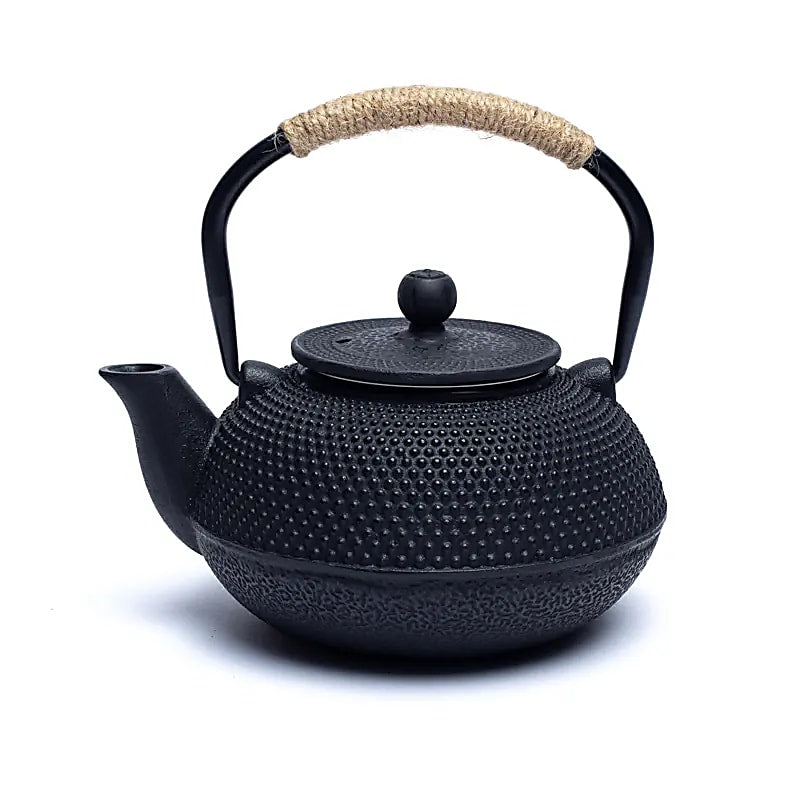 Teiera Tetsukyusu smaltata da 06 litri nera
