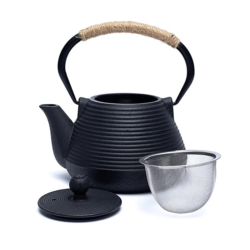Teiera Tetsukyusu smaltata da 10 litri nera