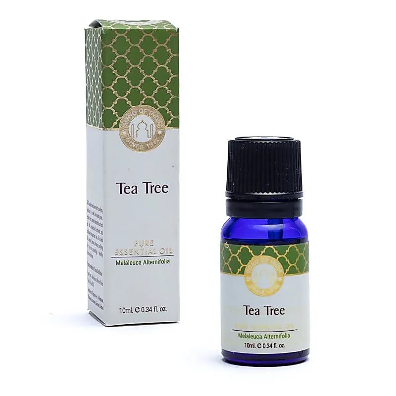 Óleo Essencial de Tea Tree Song Of India - Pacote de 10ml com 3 unidades