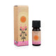 Carnatia Magic Within You Geurolie Seek Your Truth --pakket van 3 stuks - 10 ml