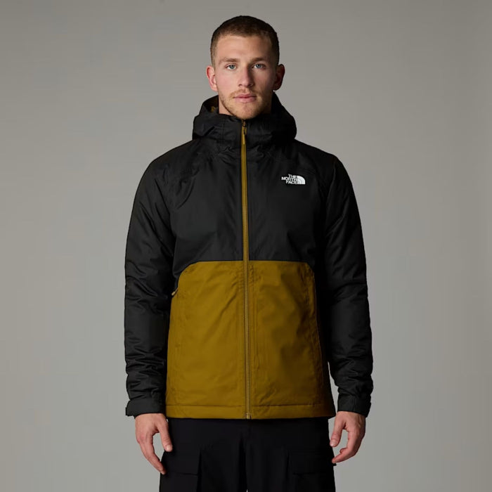 Pánská ležérní zimní bunda The North Face