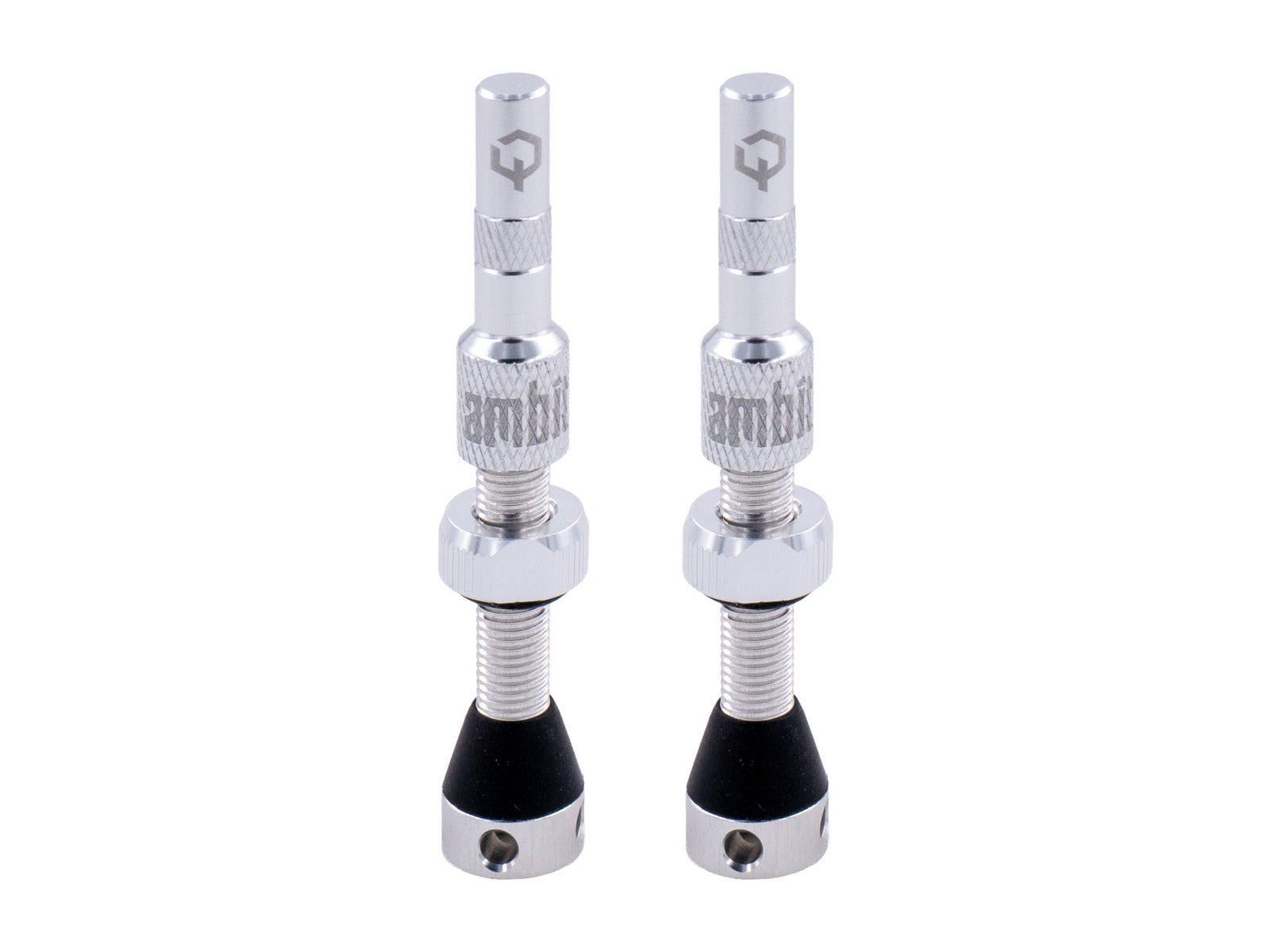 Ambit® Tubeless Valves Realm Silver