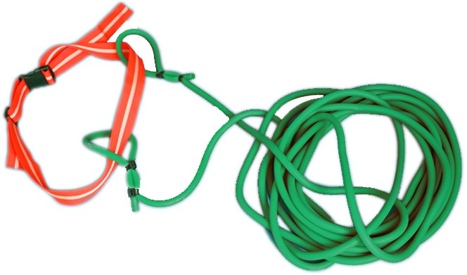 Crios friotaíochta snámha nua