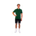 Lacoste Polo Men's