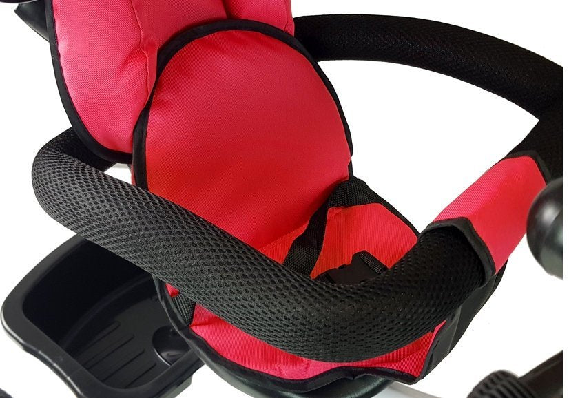 Tricycle Pro300 Red