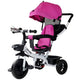 Tricycle Pro300 Pink