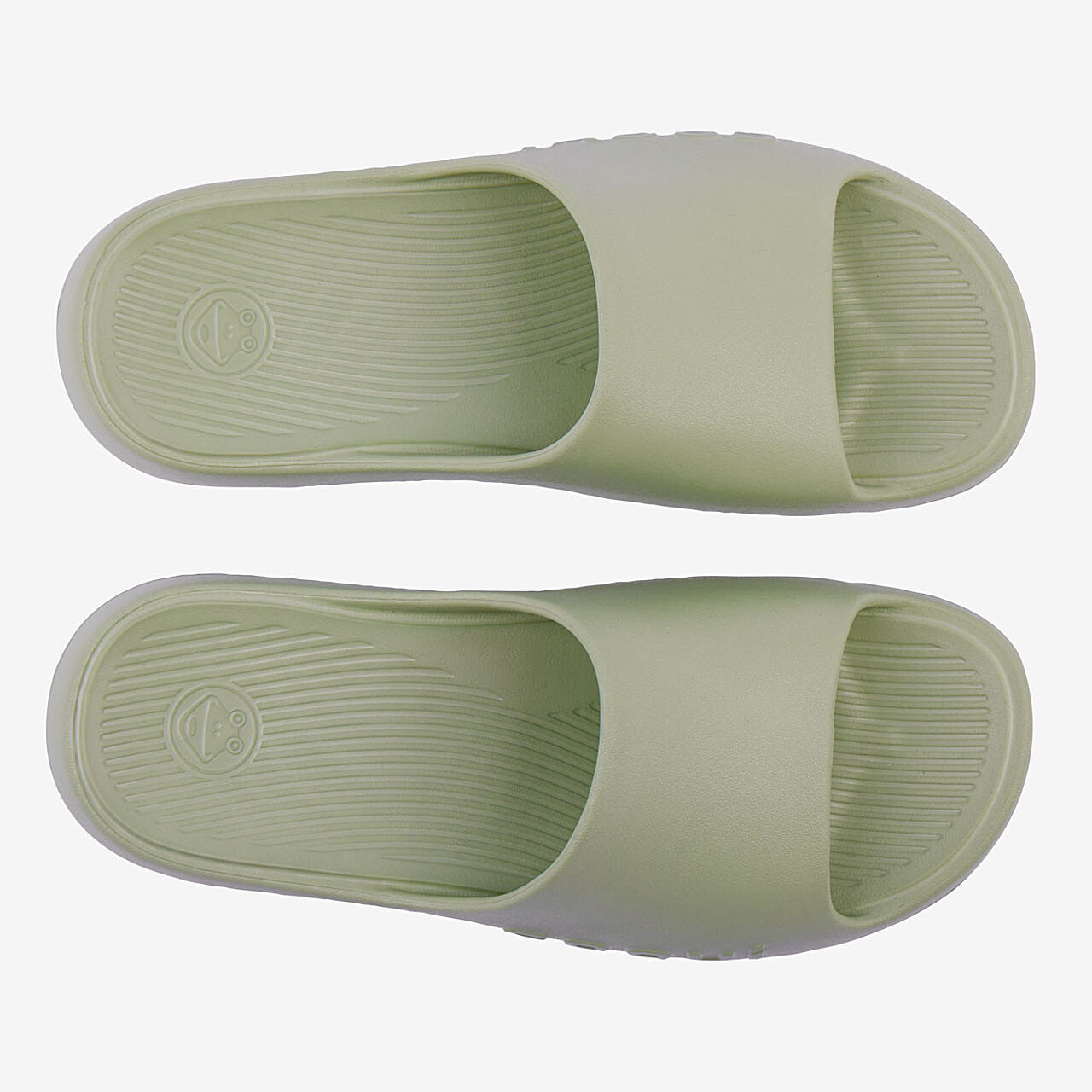 Dame Slides Coqui