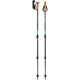 Leki Walking Sticks