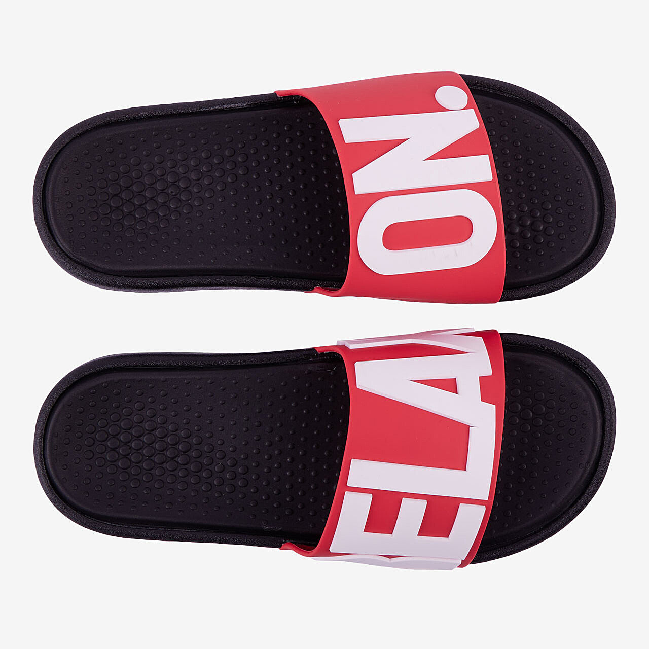 Dame Slides Coqui