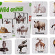 Vzdělávací puzzle Divoká zvířata Puzzle 10 anglických spojení