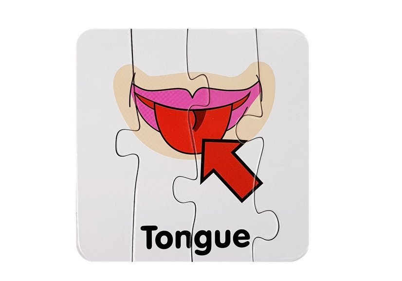 Educational Puzzle Body Parts Jigsaw Puzzle 10 English Connections