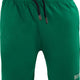 Мъжки шорти Athl. Dpt Niceto Green Green