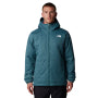 Ежедневно зимно мъжко яке The North Face