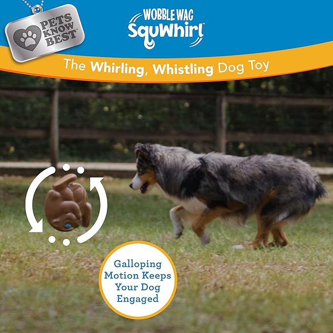 Squwhirl – Det ultimative flyvende spinnerlegetøj!