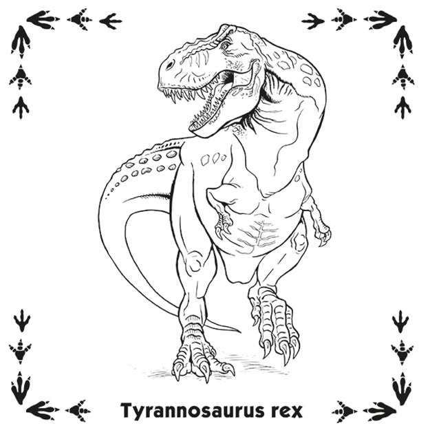 Memory Game In The Dinosaurs Workbook