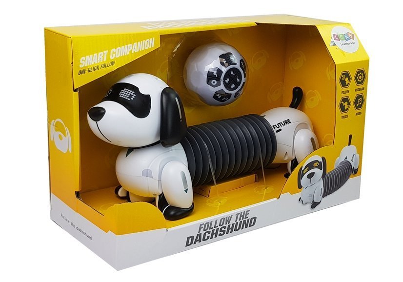 Interactive Robot Dog Remote Controlled Music Sound Remote Control Ball