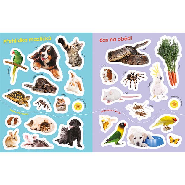 Kognitives Stickerbuch Haustiere