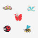 Amuletz Coqui Mix