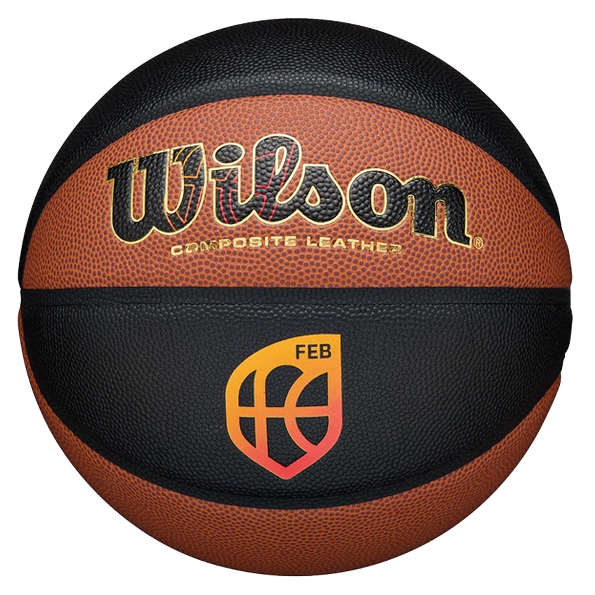 Smält basketboll Bg1600 Flerfärgad