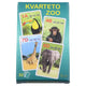 Zoo Quartet