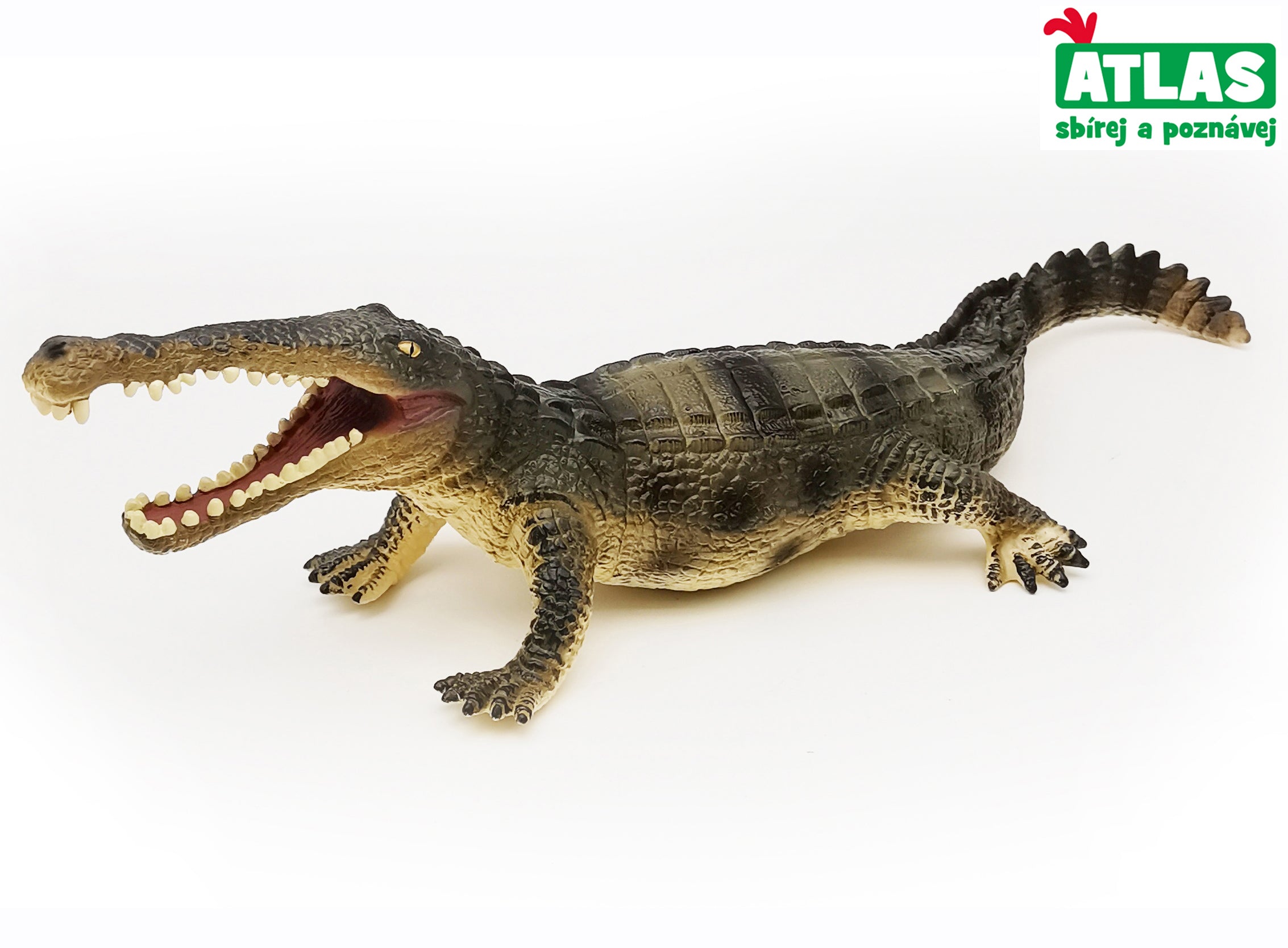 G - Figura Cocodrilo De Agua Salada 37 Cm