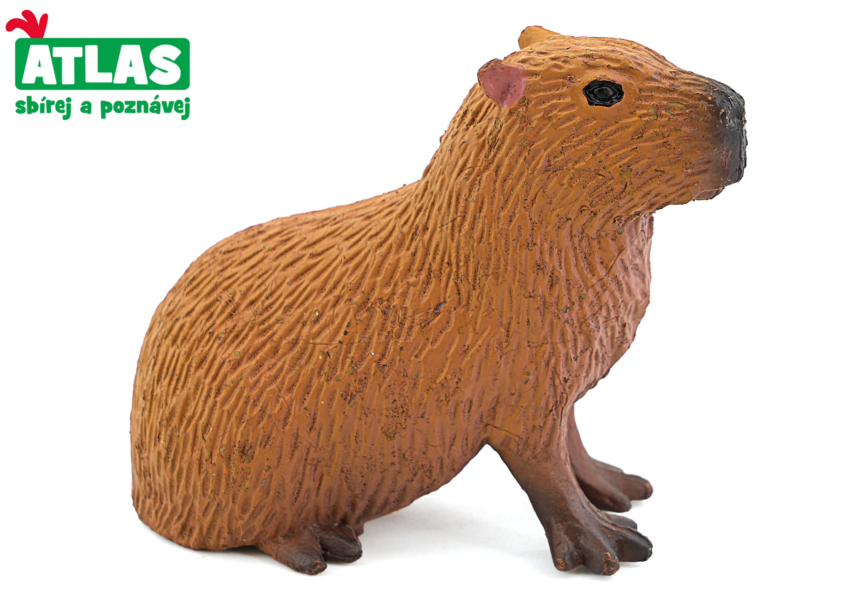 A - Capybara Figiúr 5.5 Cm