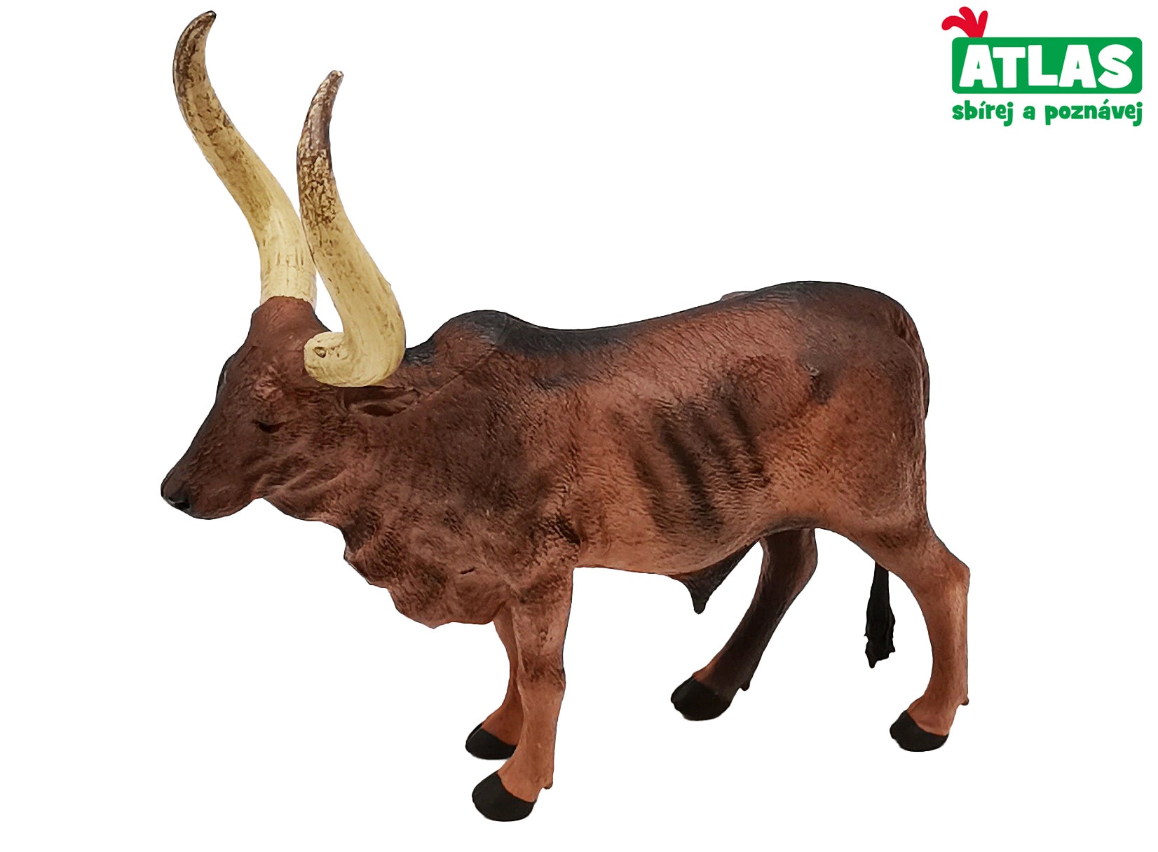 D - Statyett Ankole-watusi Cow Bull 12,5 Cm