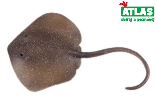 C – Östliche Stachelrochen-Figur, 18,5 cm
