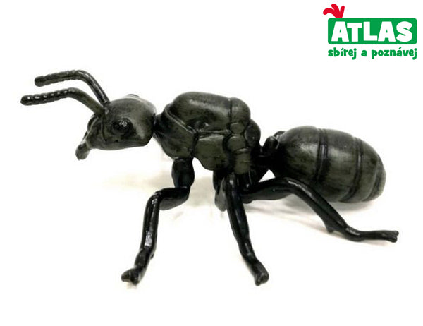 A - Figura Hangya Fényes Fekete 9 cm